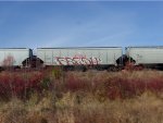 CN 114017